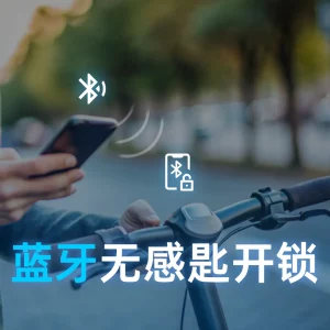两轮车蓝牙无感匙开锁（PEPS）方案介绍